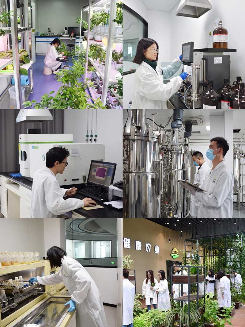 “全國科技工作者日”：推動農業綠色高質量發展，新朝陽科研人在路上