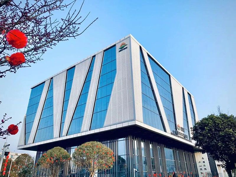 新突破！新朝陽(yáng)新型脫葉劑獲巴西專(zhuān)利授權(quán)